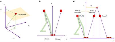 Gait Optimization Method for Humanoid Robots Based on Parallel Comprehensive Learning Particle Swarm Optimizer Algorithm